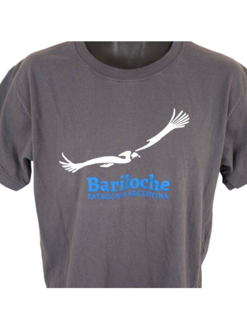 Bariloche T Shirt Mens Size Large Gray Patagonia Argentina Travel Destination